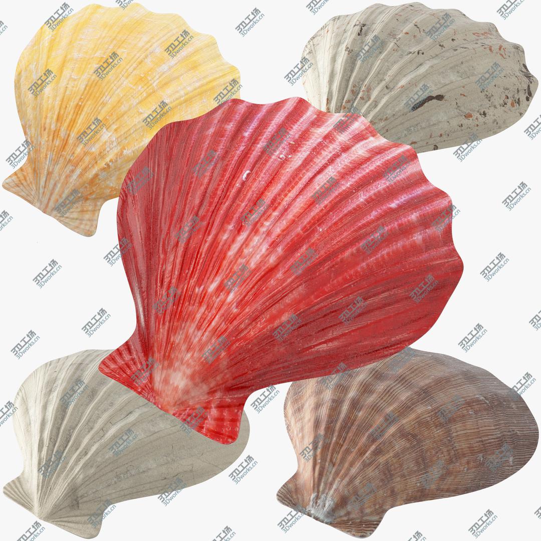 images/goods_img/202105073/3D Seashells Collection V1/1.jpg